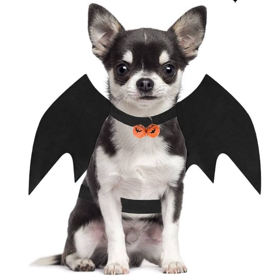 Too early? Cutest dog and pet costumes  

Amazon pet
Halloween 
Fall style
Family outfits 

#LTKfamily #LTKSeasonal #LTKfindsunder50