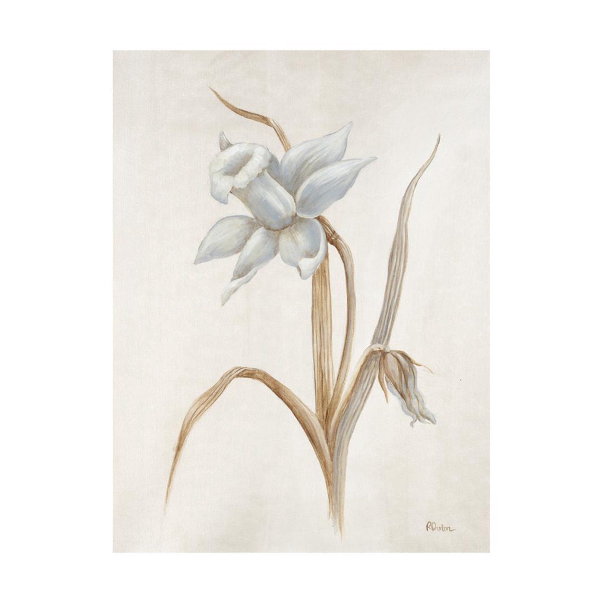 French Botanicals VIII Print Wall Art By Rikki Drotar | Walmart (US)