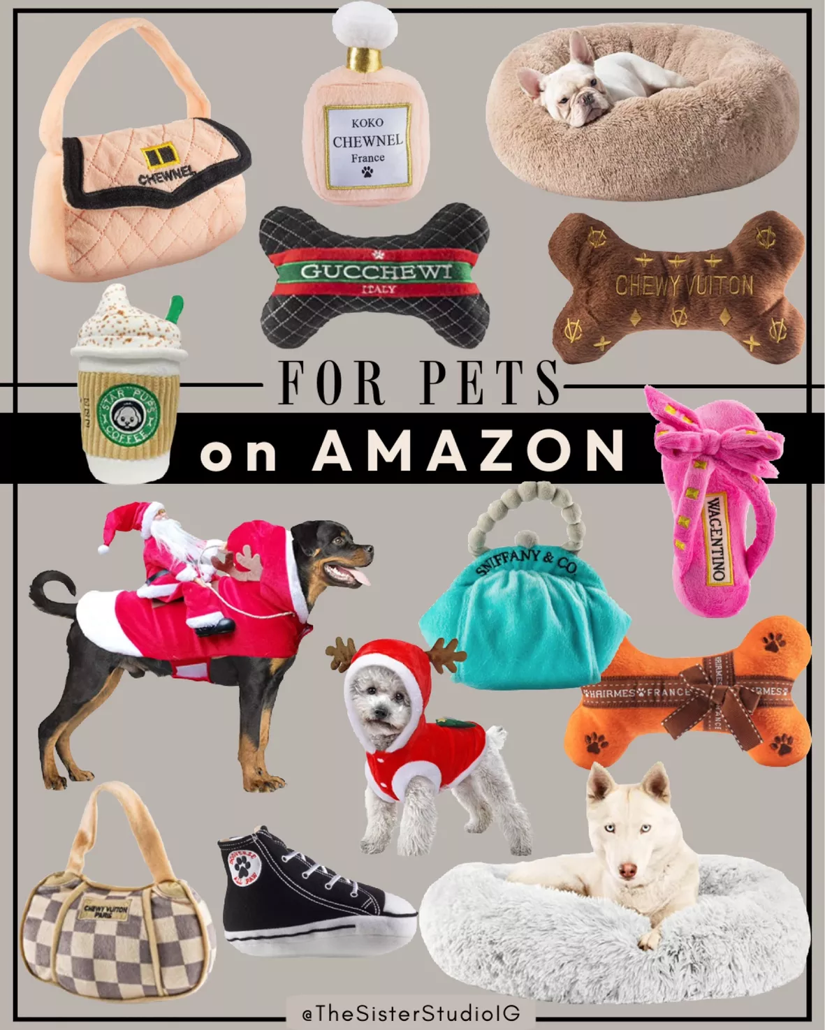 Pet Supplies : Pet Squeak Toys : Dog Diggin Designs Runway Pup Collection