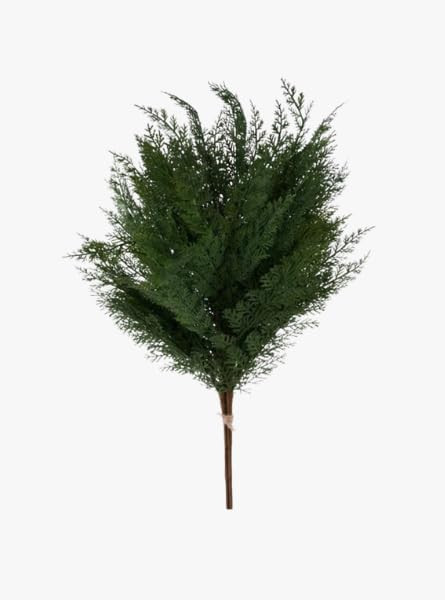 33 Inch Arborvitae Bundle, Artificial Greenery Stem with Realistic Textured Foliage, Faux Botanic... | Amazon (US)