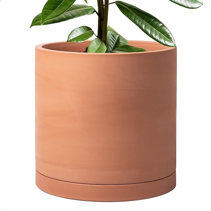 D'vine Dev X-Large 12 Inch Terracotta Plant Pot with Drainage Hole and Saucer, Round Cylinder Pla... | Amazon (US)