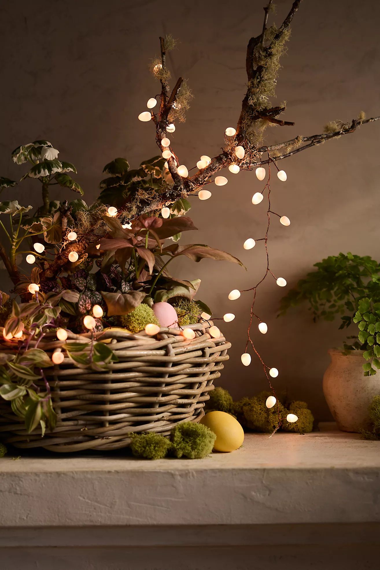 LED Teardrop Lights | Anthropologie (US)