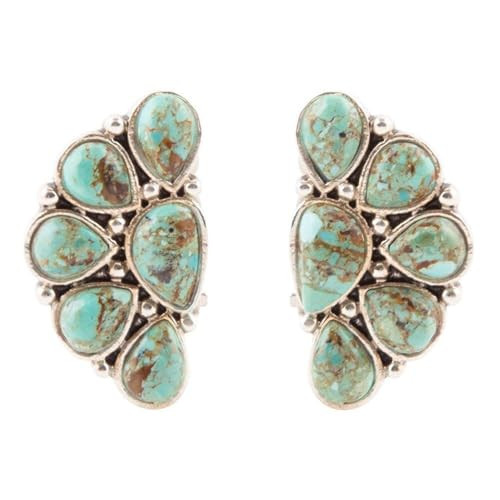 Barse Jewelry Durango Blue Turquoise Sterling Silver Clip Earrings | Amazon (US)