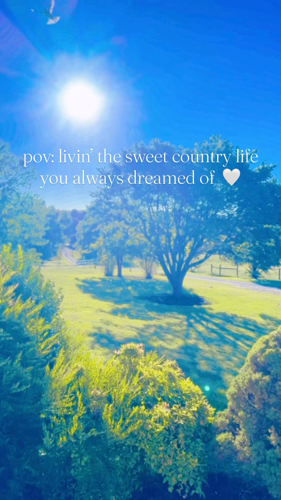 Dreamy fall days forever and ever amen 🐓🍂🧺🌳☀️🍁☀️🦌👶🏼🪴💐🥬🌻 #sweetseptember #fallnights #fallvibes #dreamyfall 

Our fall garden 🪏🪴 is thriving (!!) y’all 🤩 - look at all that homegrown goodness!!! 💐🥬🌼🥦 And the boys loved 🥰 getting to pick 🧺 their dessert 😋 (of fresh berries 🩷💜) straight from the ground 👏🏽 last night!! 💫 Fall farm nights like this truly are the best!!! 🐓🌳🦌

Andddd @wesmabry has today off 🥰🤭, so last night was the start to our weekenddddd 🥳🥳 around here - and we have another special fall tradition planned for today!! 🥰🧡

Woke up to the most stunning sunny ☀️ september morning 🌳 here on the farm 🥰 - I always dreamed of a front porch view of our land and long gravel driveway 🛻 like this… what a dream!!! 💭 And nothin’ sweeter than a sweet friday mornin’ with daddy home from work!!! 🏡 And these little pumpkins 🎃 (in their matching jammies 🥰) sure are excited for a fun 🤩 family day ahead!! 🤭

Happy Fall Friday, y’all!! 🍂🧡🍃🍁🤎 #fallfriyay