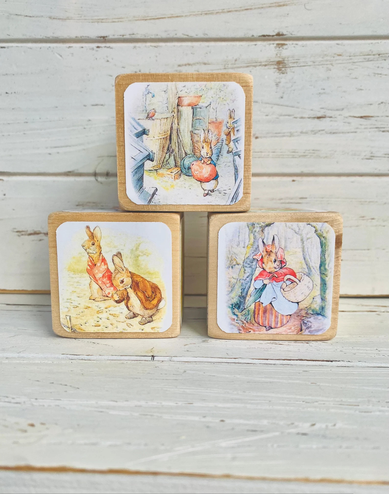 Beatrix Potter Wood Blocks Peter Rabbit Nursery Room Decor Benjamin Bunny Baby Girl Nursery Shelf... | Etsy (US)