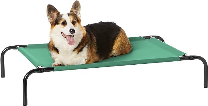 Amazon Basics Cooling Elevated Dog Bed with Metal Frame, Medium, 43 x 26 x 7.5 Inch, Green | Amazon (US)