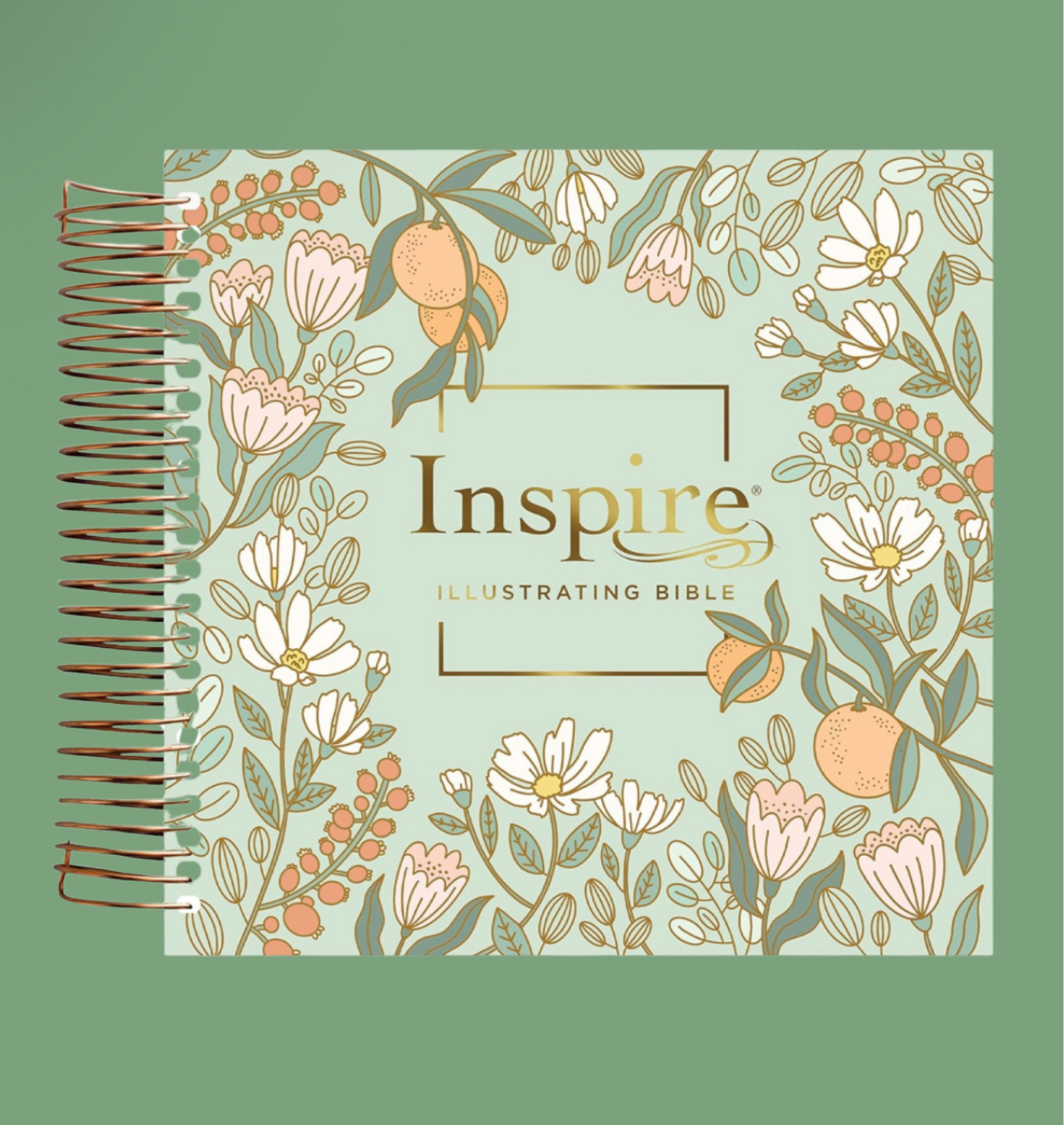 My journaling Bible! #bible #biblejournaling #christian 

#LTKHome