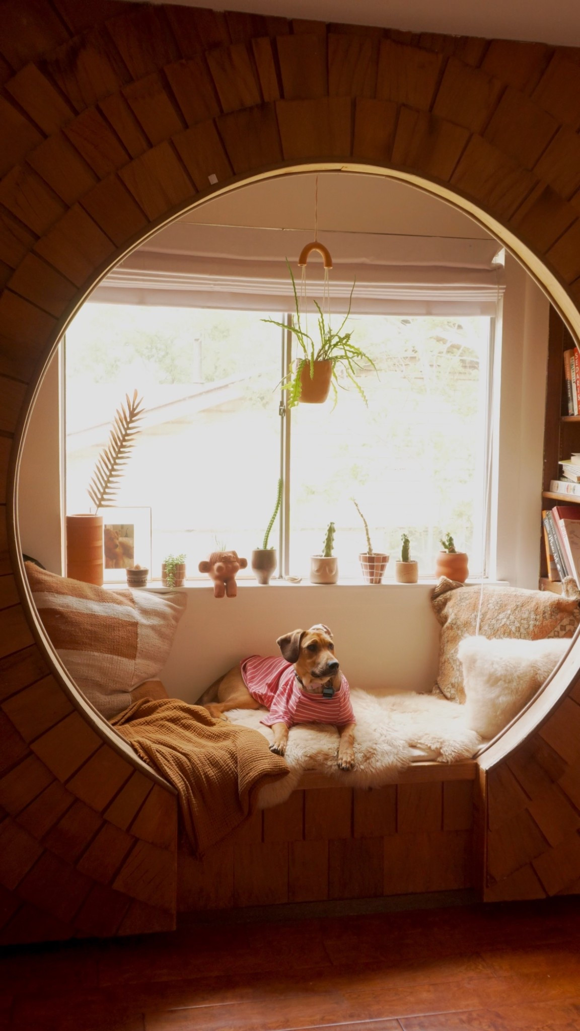 Linked some funky throw pillows and plant pots inspired by the ones in my home 🥰

#LTKGiftGuide #LTKMidsize #LTKHome