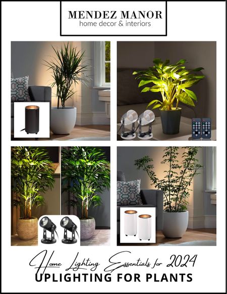 Transforming the ambiance of your living space can be as simple as giving your plants a little extra style – and the secret lies in uplighting. Beyond merely brightening a room, uplighting plants introduces texture and interesting shadows, instantly elevating the intention of your space.

#plantuplighting #uplightingplants #plantlighting #lightingplants #2024lightingtrends

#LTKstyletip #LTKhome