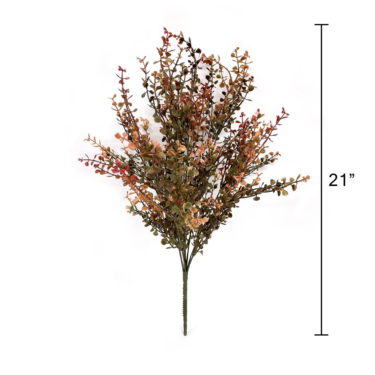 Primrue Red Baby''s Delphinium | Wayfair | Wayfair North America