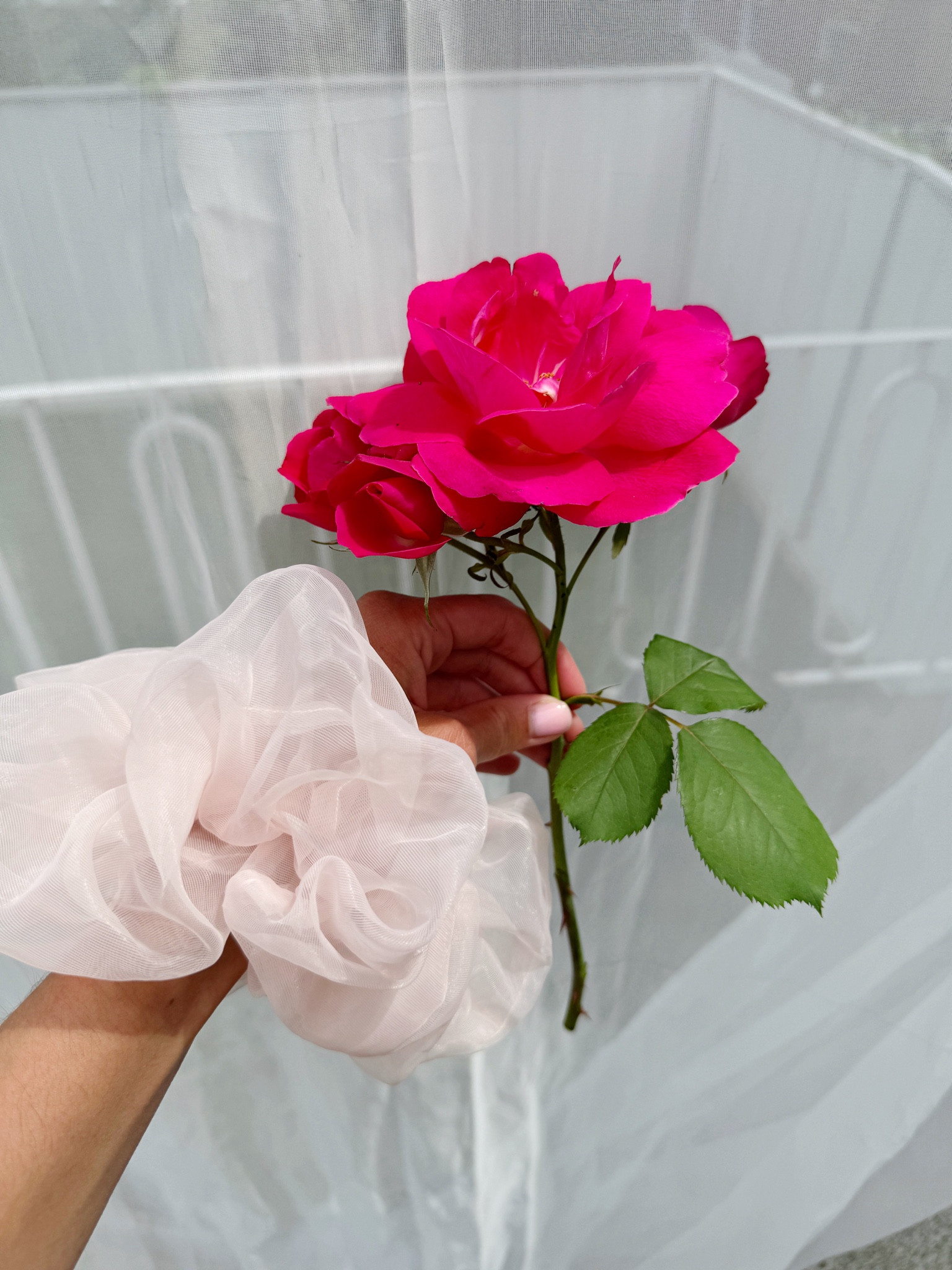 Linked my oversized pink scrunchie from Amazon 


#LTKstyletip #LTKsummer #LTKbeauty