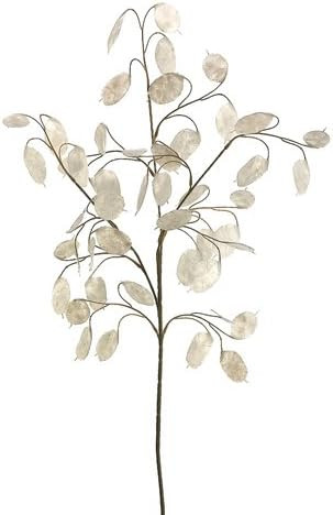 30" Silver Dollar Spray White (Pack of 12) | Amazon (US)