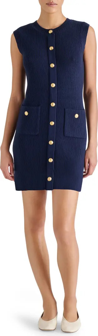 Mitsy Sleeveless Rib Sweater Dress | Nordstrom