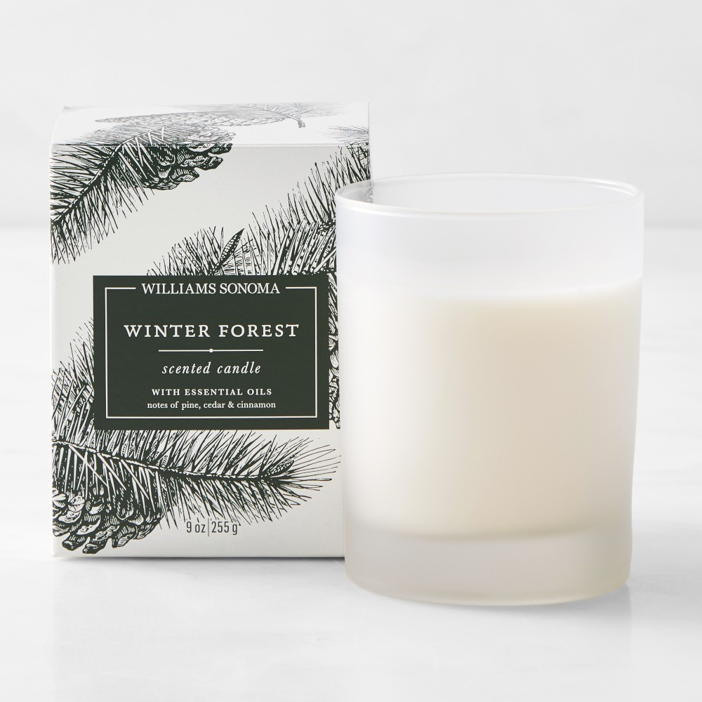 Williams Sonoma Winter Forest Candle | Williams-Sonoma CA