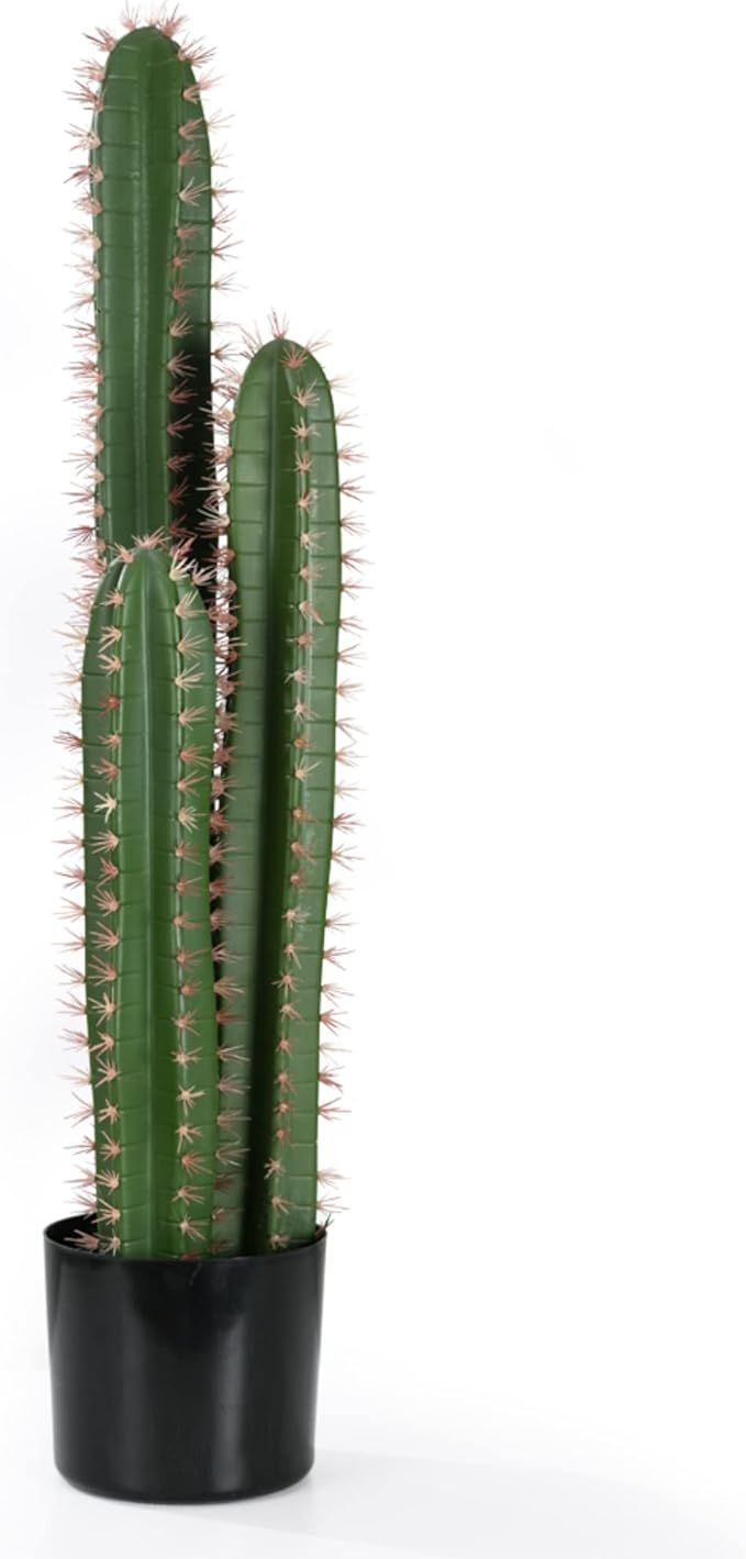 Dulce Domi Supernatural Simulation Plants Artificial Succulents, Fake Cactus Cactus, Green Decora... | Amazon (US)
