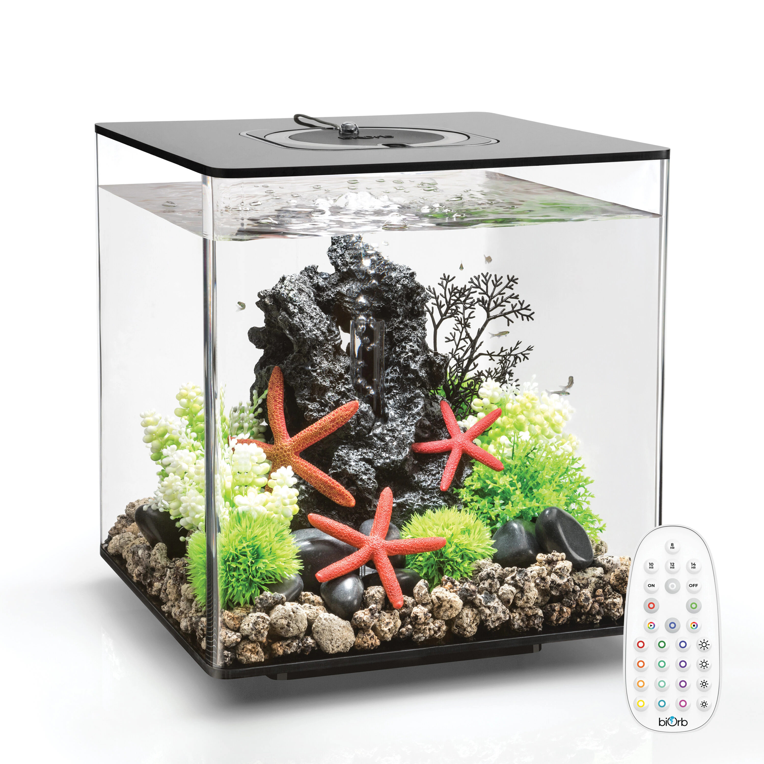 biOrb CUBE 12.6-in x 13.6-in Acrylic 8-Gallon Fish Aquarium in Black | 72020 | Lowe's