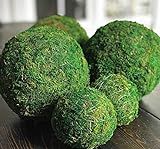 4 Inch Decorative Moss Ball Orb for Home Decor, Vase Bowl Filler, Planters, Trays, Lanterns, Wedding | Amazon (US)