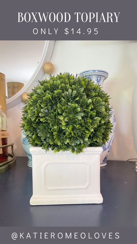 Love this little boxwood topiary for only $14.95!

#LTKunder50 #LTKhome #LTKFind