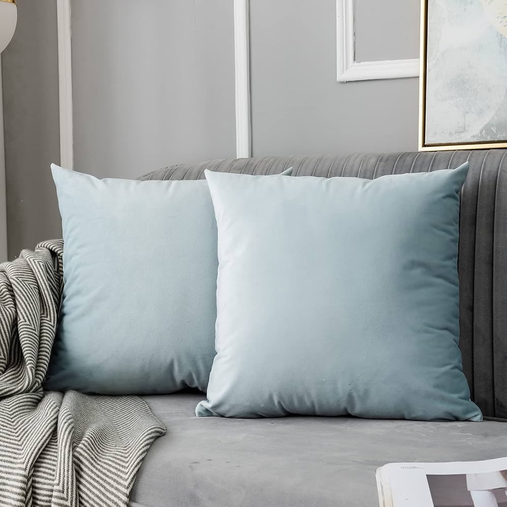JUSPURBET Powder Blue Velvet Throw Pillow Covers 18x18 Set of 2,Decorative Solid Soft Cushion Cas... | Amazon (US)