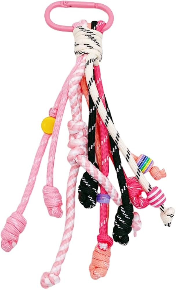 QTMY Colorful Braided Bag Charms Keychain for Purse Handbag Backpack,269 | Amazon (US)
