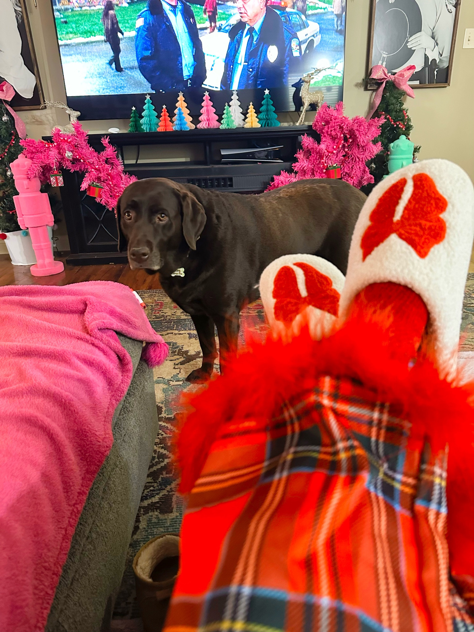 Bow slippers! 

#LTKHoliday #LTKSeasonal #LTKCyberWeek