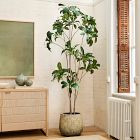 Faux Frangipani Tree | West Elm (US)