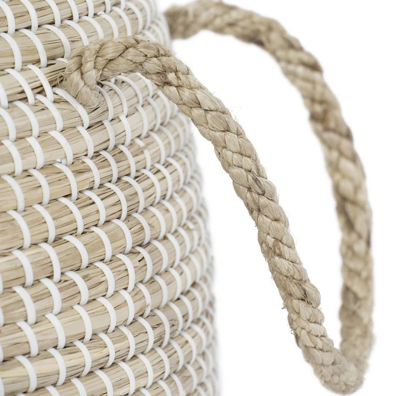 Calabasas Natural Seagrass Basket | Wayfair North America