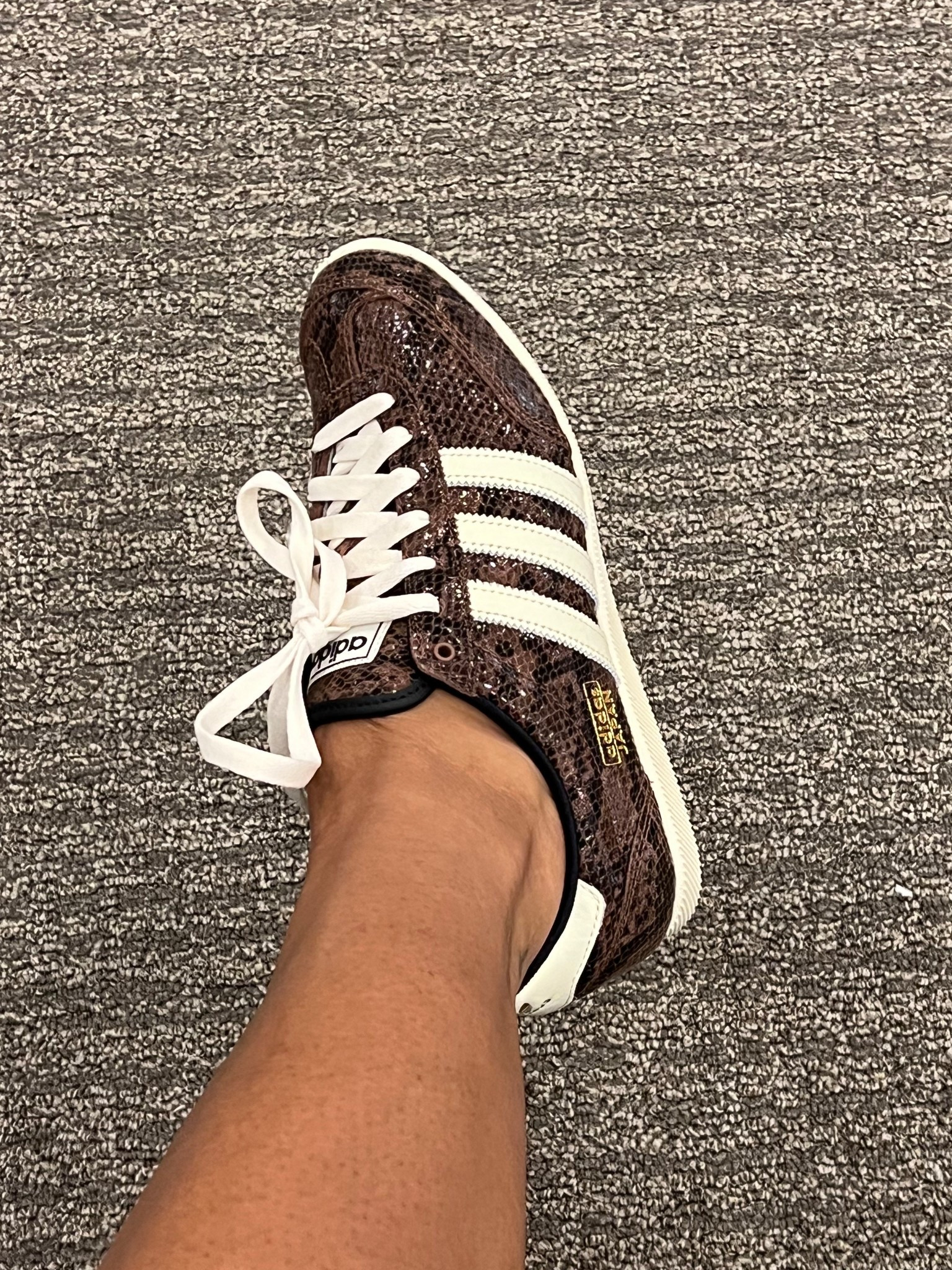 How cute are these #adidas snakeskin shoes!?!? These may be my new fall favorite 

I’m wearing in a 7.5, normal sizing 8 or 39

#LTKActive #LTKFindsUnder100 #LTKStyleTip