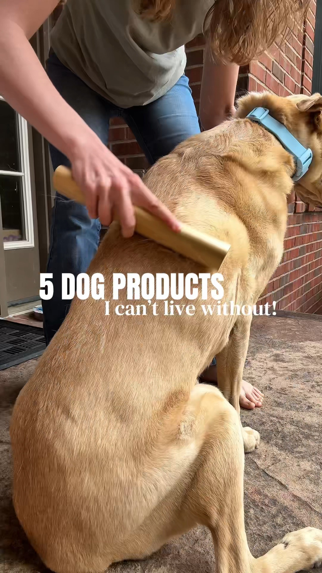 5 Dog Product Must Haves I Cannot Live Without Now | Pet Essentials