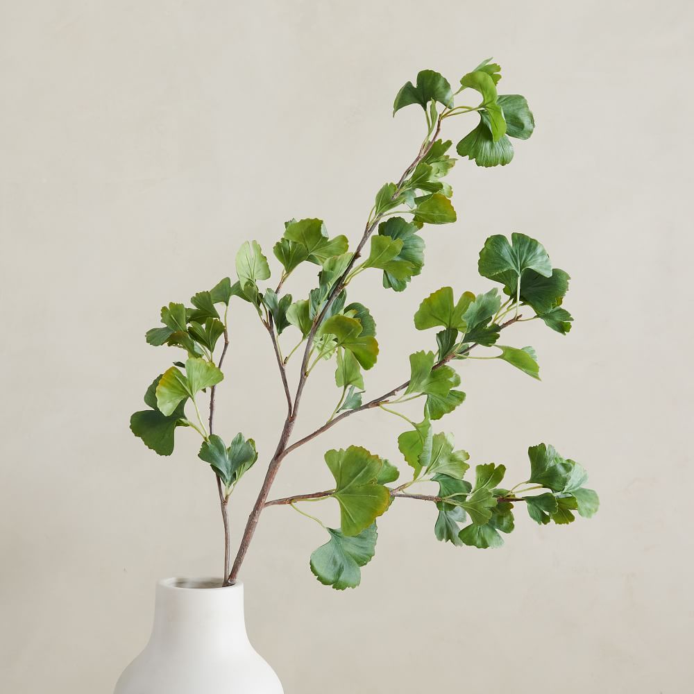 Faux Gingko Branch, Green, 48" | West Elm (US)