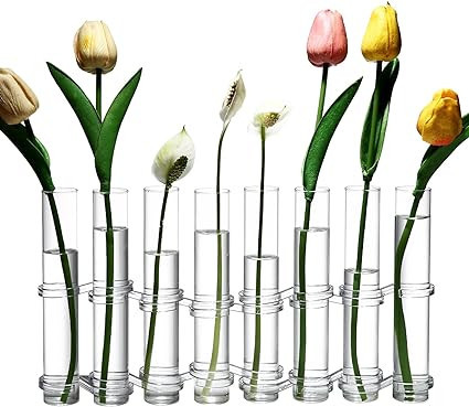 Dinyeo Hinged Flower Vase Clear Small Cylinder Glass Test Tube Propagation Station for Plant. | Amazon (US)