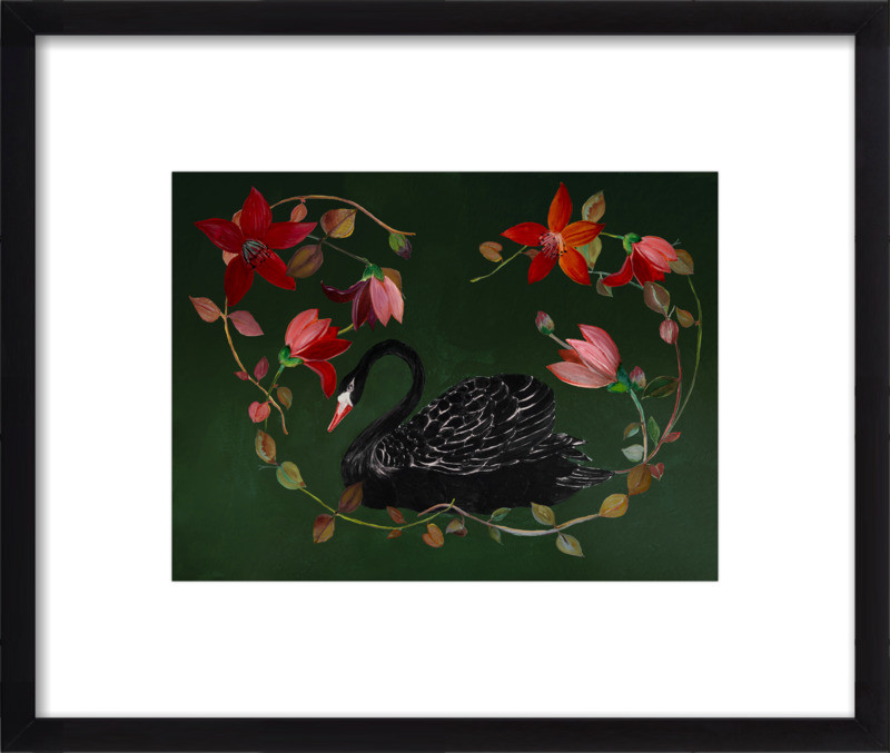 Black swan | Artfully Walls