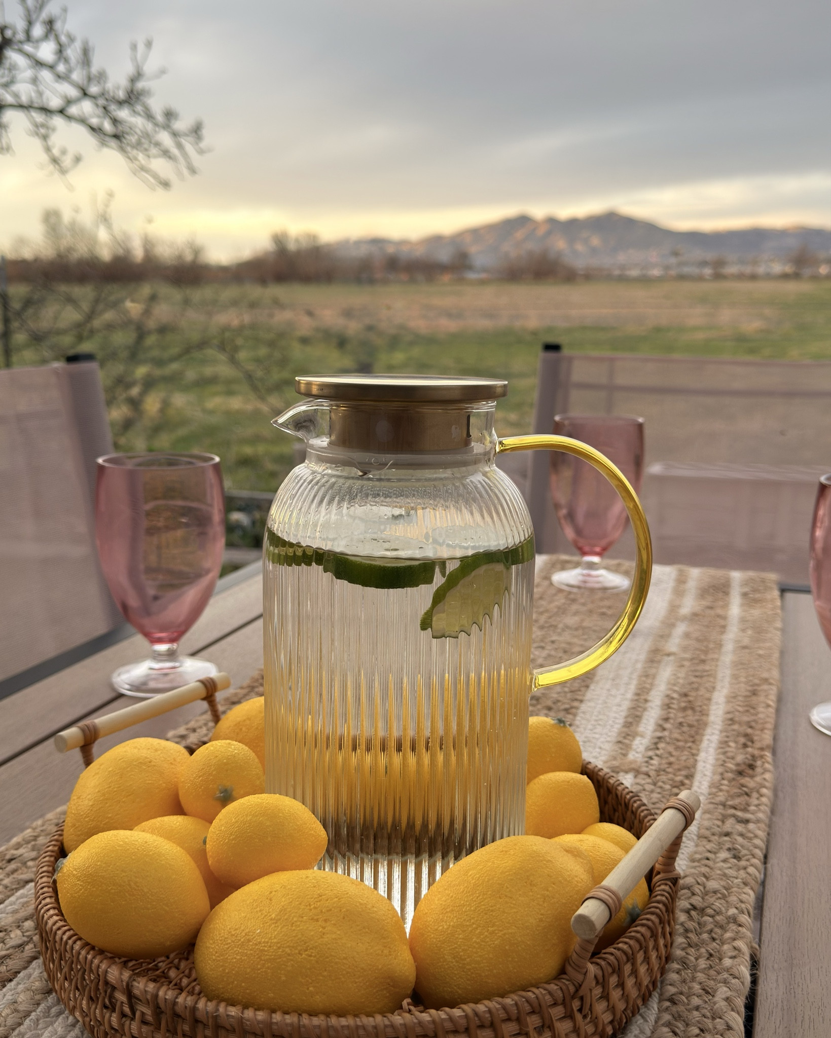 There’s something so refreshing about a simple patio moment 🍋🌿
A beautiful glass pitcher filled with lemon water, warm afternoon light, and a quiet table outdoors… sometimes the smallest details make a space feel instantly special.
I found this lovely glass pitcher at Wayfair, and it’s one of those pieces that makes hosting feel effortless — perfect for fresh drinks, slow afternoons, and gathering with friends.
Tap to shop this Wayfair pitcher and bring the same fresh, inviting touch to your patio table ✨ 
@Wayfair #wayfair #ad #wayfairpartner #outdoor #wishyouwerehere 

#LTKU #LTKHome #LTKSeasonal