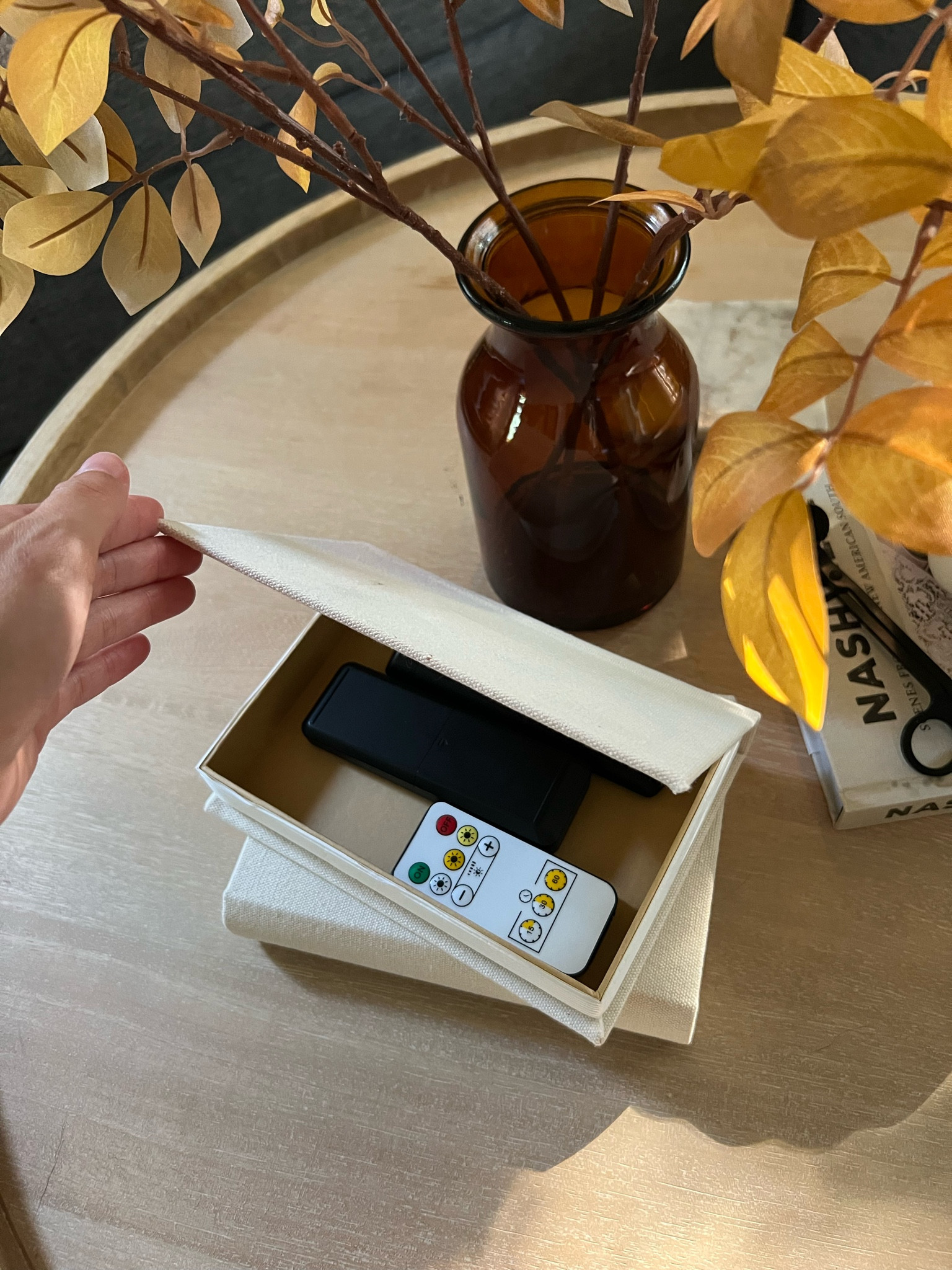 Hide your remotes with these fake books! Just $20 for three on Amazon. Amazon home decor. Coffee table decor. 

#LTKHome #LTKFindsUnder50