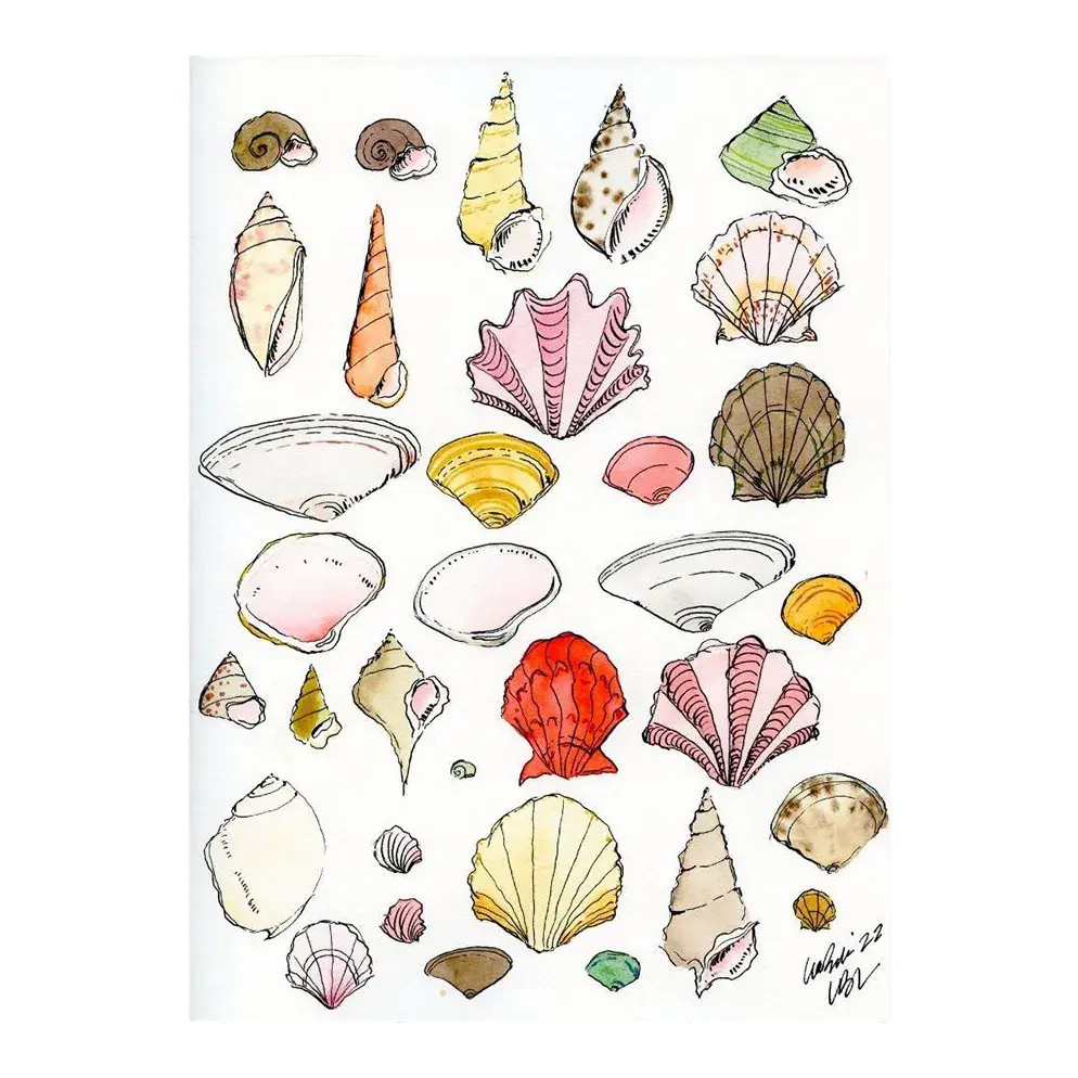 "Colorful Shell Collection" Lia Burke Libaire Contemporary Original Giclee Print | Chairish