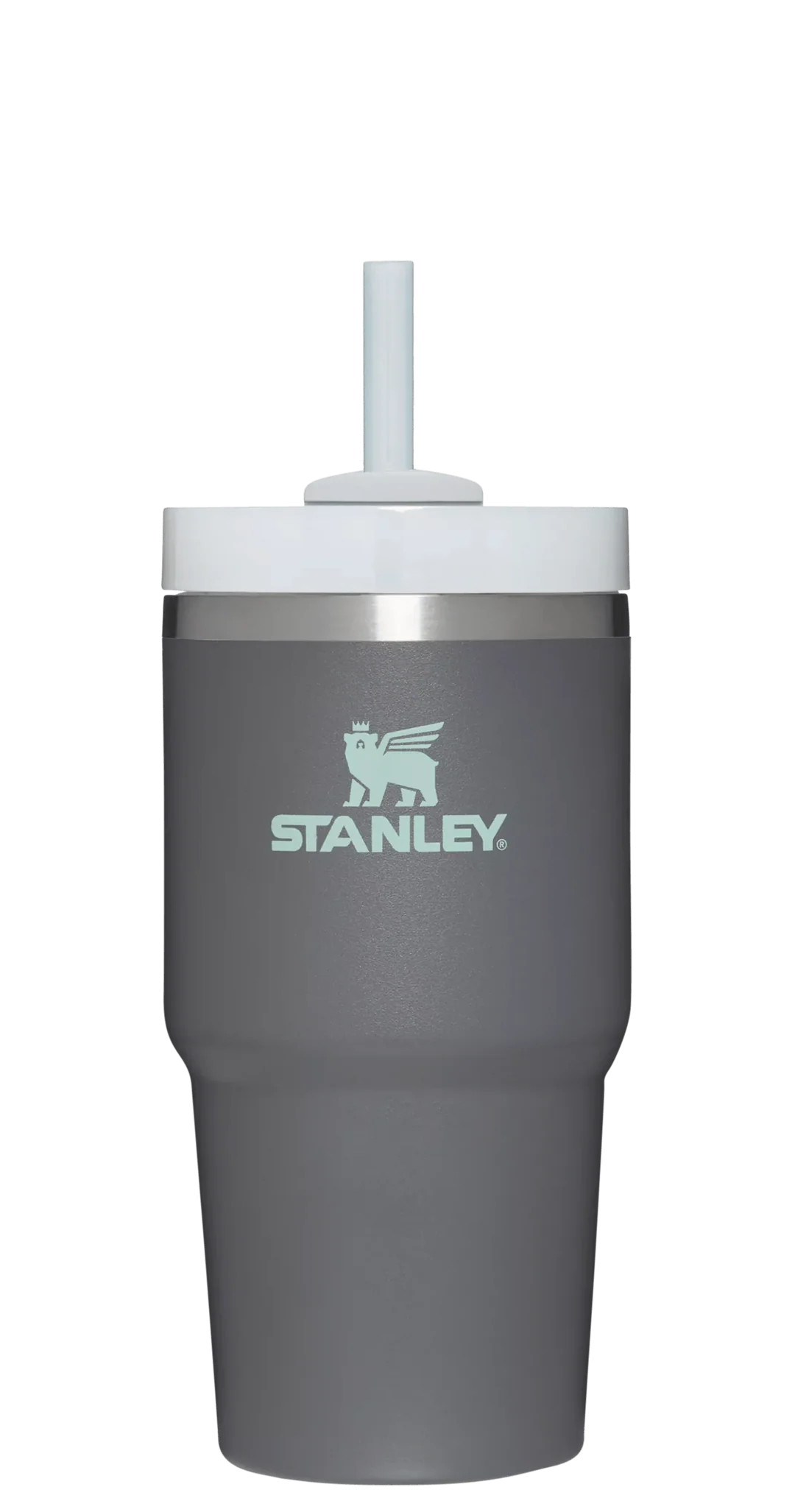 The Quencher H2.0 FlowState™ Tumbler | 20 OZ | Stanley PMI US