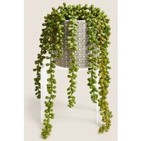 M&S Artificial String of Pearls in Ceramic Pot - Green, Green | Marks & Spencer (UK)