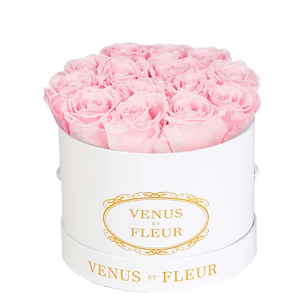 Small Round | Venus ET Fleur