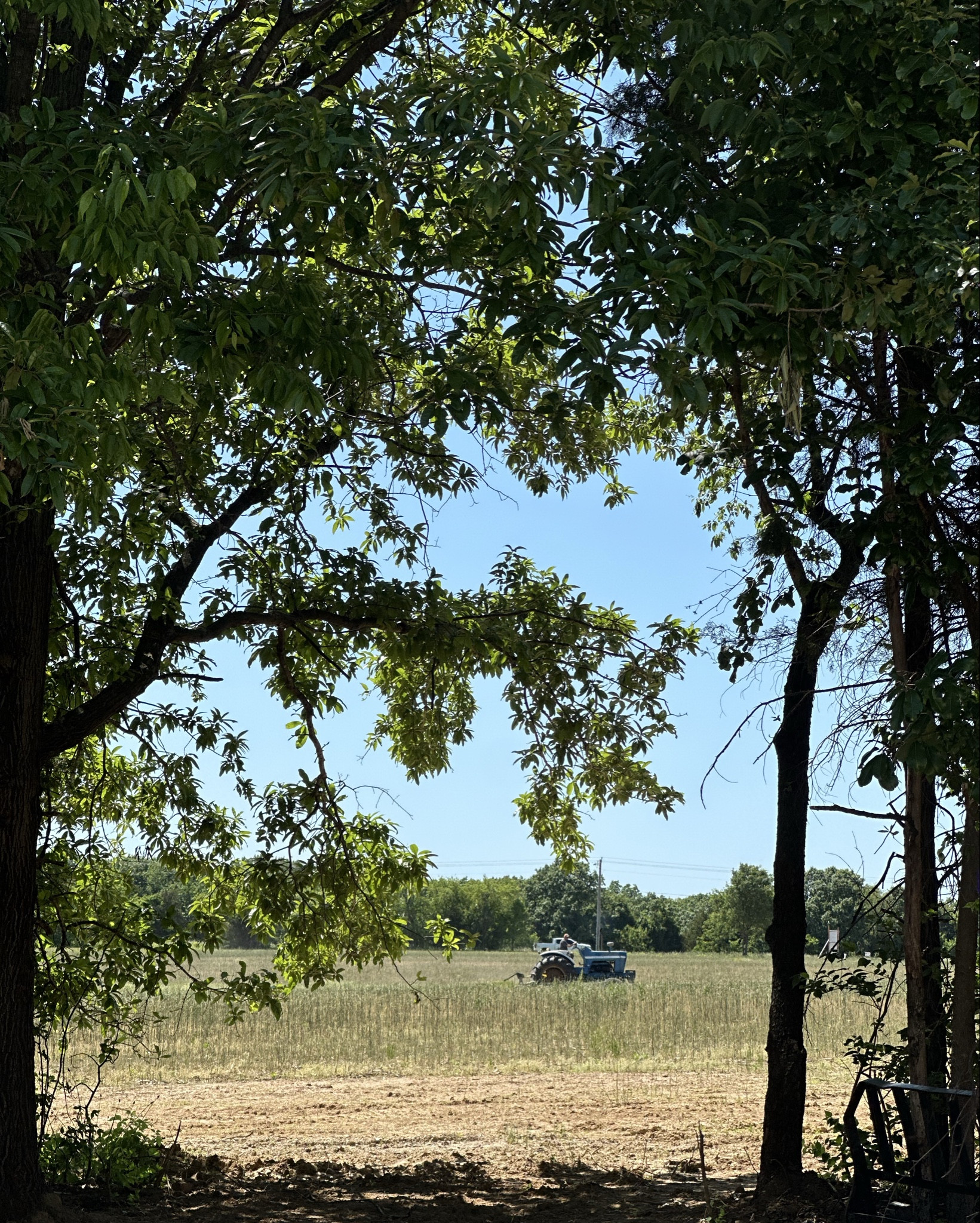 Sundays >> 🚜✨🌿

#LTKWorkwear #LTKHome #LTKU