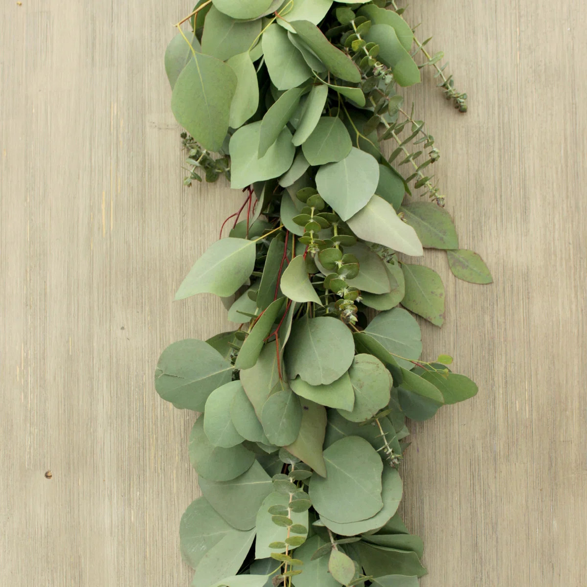 72'' in. Fresh Eucalyptus Garland | Wayfair North America