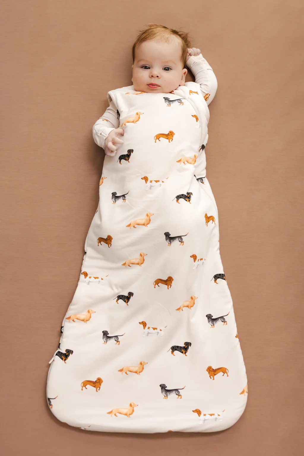 Sleep Bag in Dachshund 1.0 | Kyte Baby