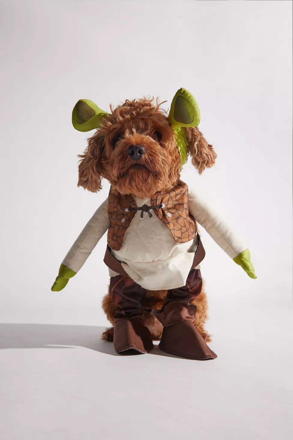 Shrek Walking Pet Halloween Costume | Urban Outfitters (US and RoW)