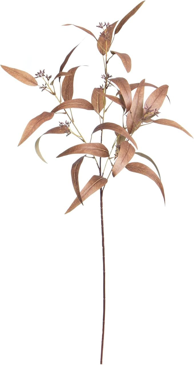 Ashland 33" Long Seeded Brown Eucalyptus Stem Fall-Artificial Fall Flowers for Decoration | Amazon (US)