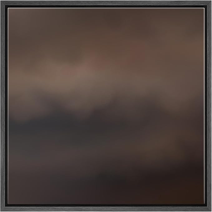 SIGNFORD Framed Canvas Print Wall Art Dark Moody Abstract Soft Brown and Black Cloudy Illustratio... | Amazon (US)