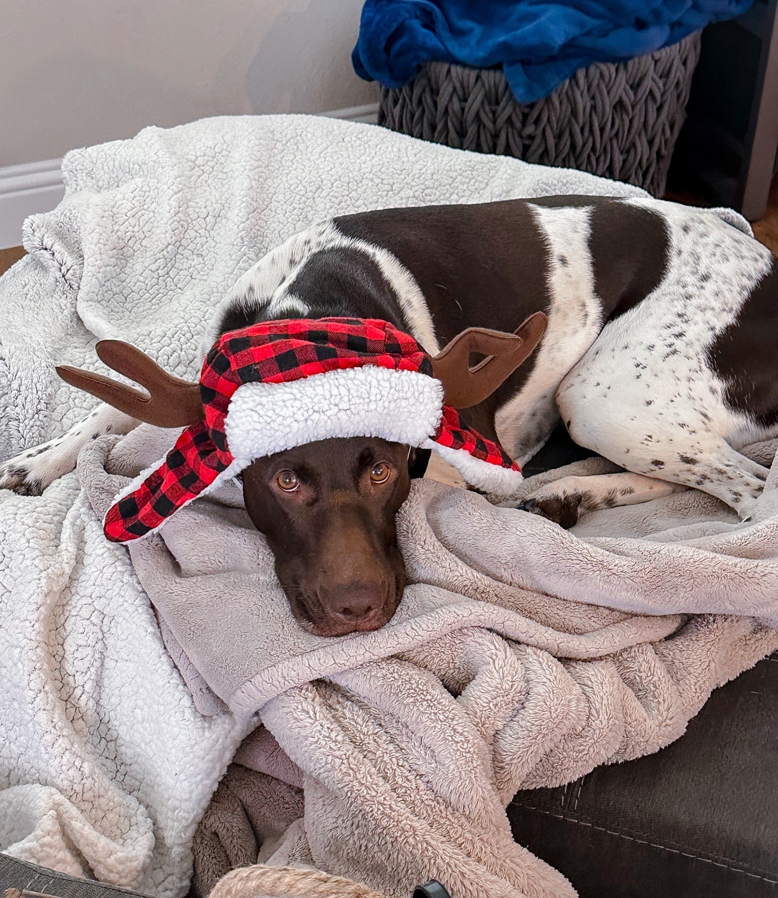 #LTKFindsUnder100 #LTKCyberWeek #LTKmomlife