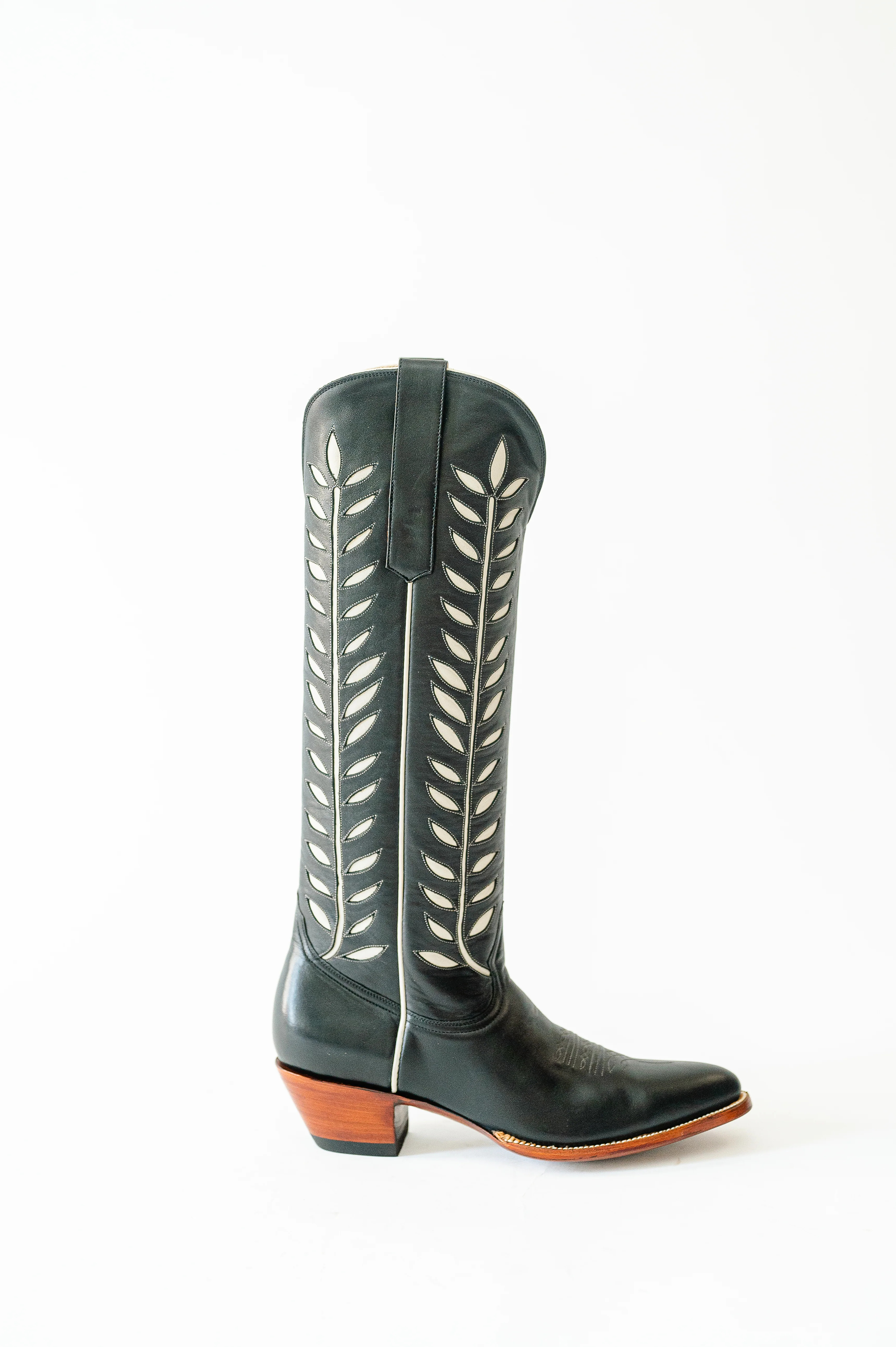 Rory Midnight | Petite Paloma