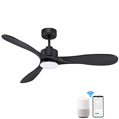 52“ Smart Ceiling Fans with Lights and Remote,Quiet DC Motor,Modern Black Outdoor Indoor Ceilin... | Amazon (US)