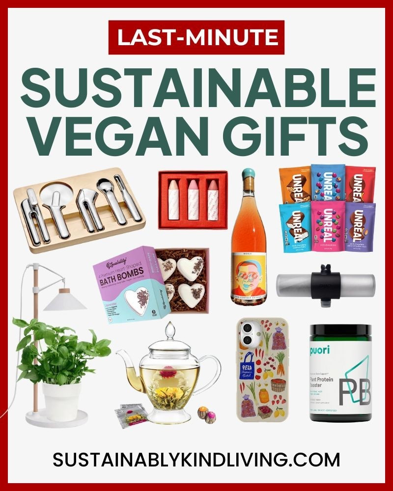 Find vegan gifts that are thoughtful, functional, and fully cruelty-free. 

These plant-based picks include skincare, fashion, accessories, and eco-friendly everyday essentials. 

#LTKHoliday #LTKGiftGuide