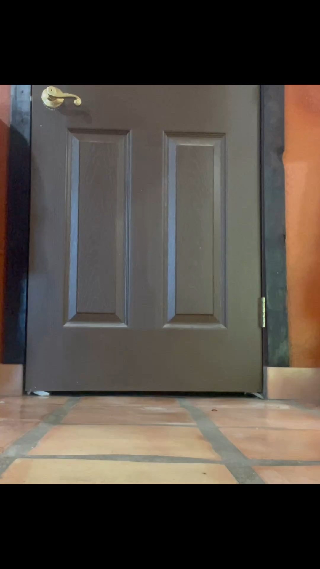 Knee high boots
Super comfy and they come in different colors 
Petite friendly

#LTKPetite #LTKdayinmylife #LTKSeasonal

#LTKOver40 #LTKdayinmylife #LTKootd