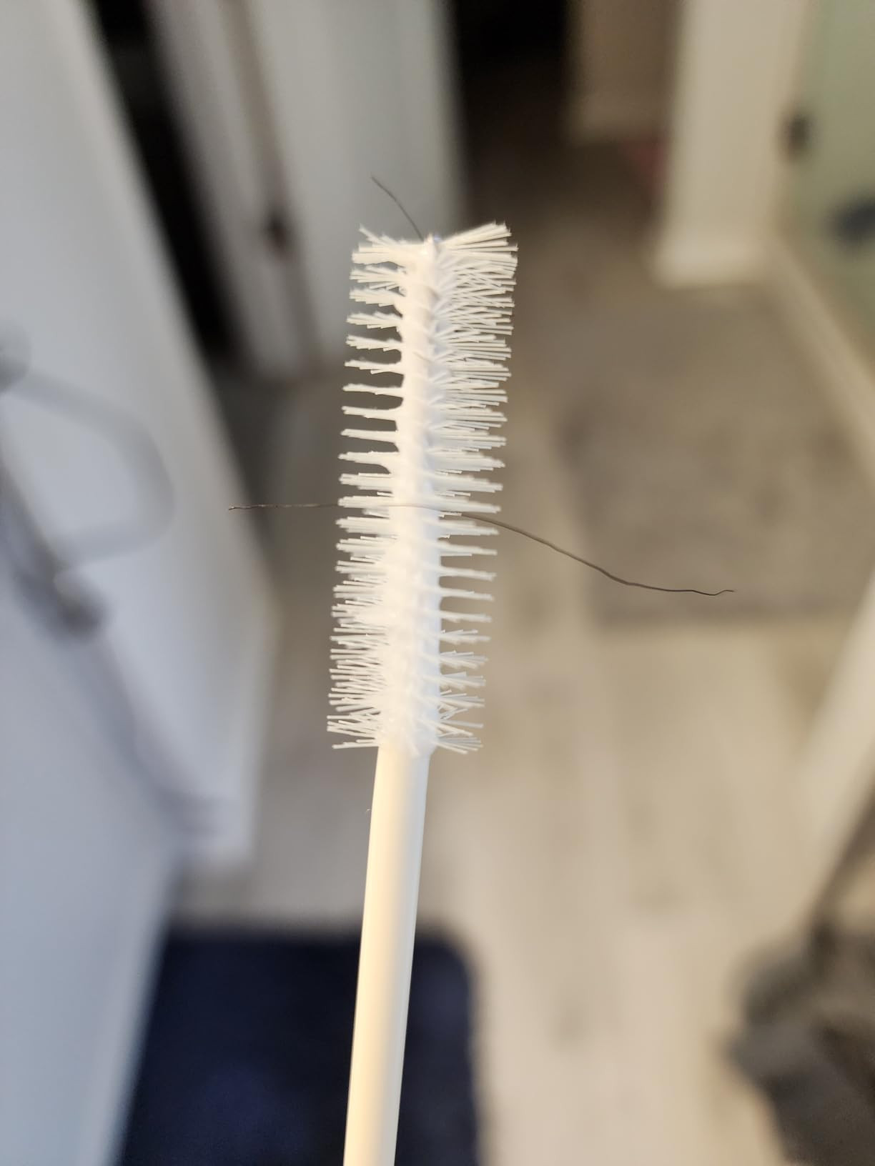 Visit the DAE Store | Amazon (US)